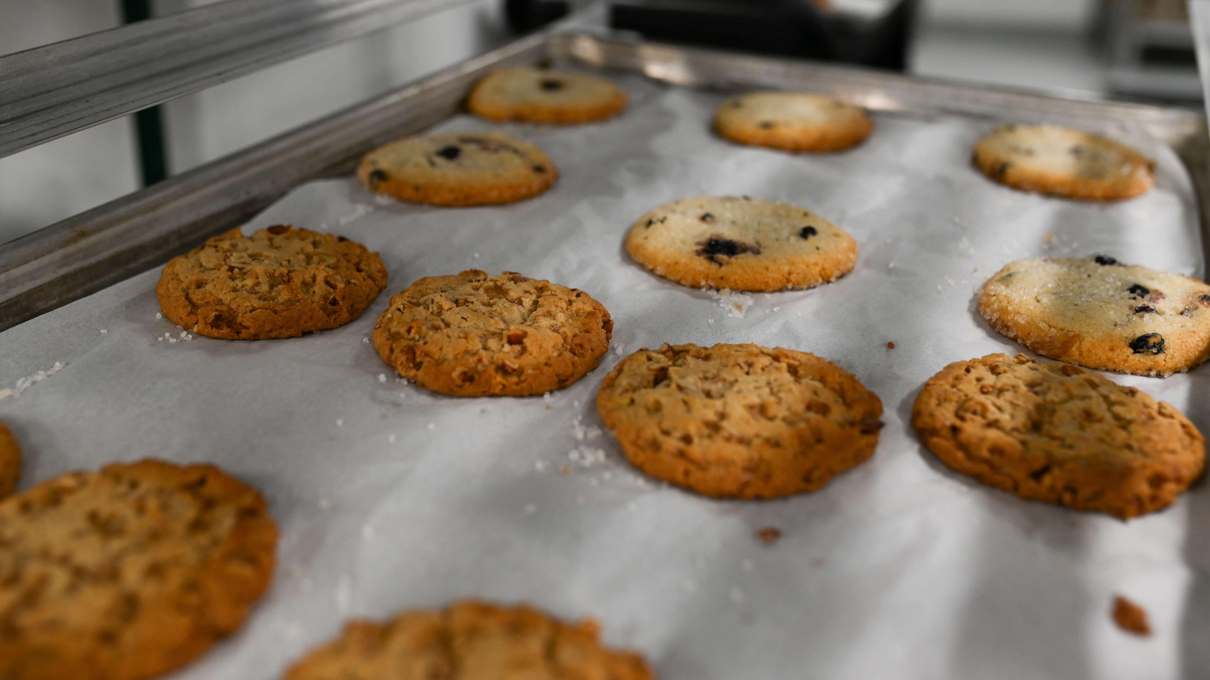 chocolate chip cookies